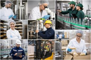 Quels sont les métiers de l'industrie agroalimentaire ?